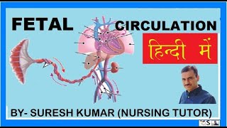 भ्रूण परिसंचरण  FETAL CIRCULATION IN HINDI  placenta  fetal heart [upl. by Laehcim926]