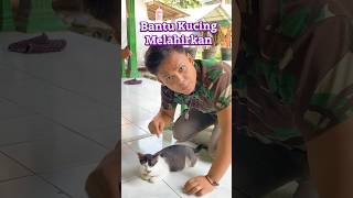 Bantuin kucing melahirkan sulap magic sihir shortvideo [upl. by Atsirt]