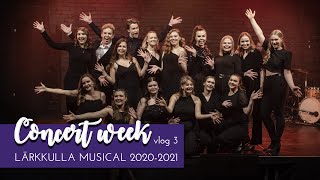 Lärkkulla Musical 20202021  Vlog 3 Christmas Concert Week [upl. by Ednyl]