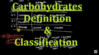 1 Carbohydrates  Definition and Classification [upl. by Namia723]