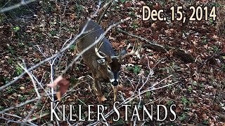 Midwest Whitetail  Choosing a Treestand Location [upl. by Stubstad]