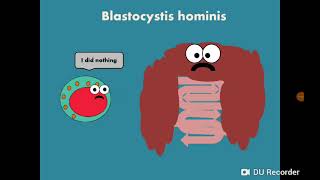 Blastocystis hominis المتبرعمة الكيسية [upl. by Asserac370]