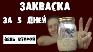 Самая первая закваска для хлеба День второй [upl. by Hans]