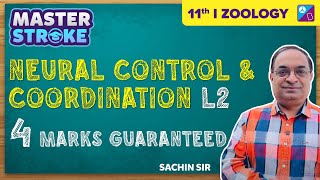 Neural Control amp Coordination Class 11 Biology One Shot Pt 2  NEET 2023 Exam  Sachin Sir [upl. by Ailerua]