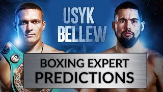 Oleksandr Usyk vs Tony Bellew predictions from iBox Gym [upl. by Yenaj]