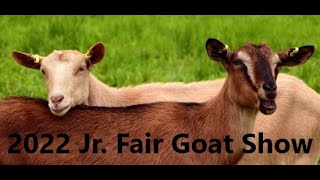 Jr Fair Goat Show  2022 Richland County Fair [upl. by Mandych431]