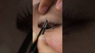 Eyelashes Tutorial For Beginners ❤️❤️ [upl. by Nazario95]