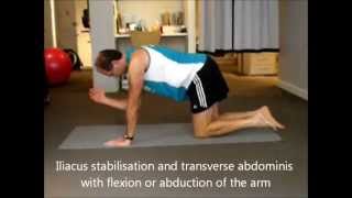 Hip Stabilisation Back in Business Physio North Sydney [upl. by Artenak]