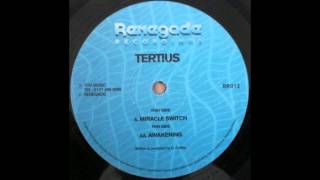 Tertius ‎– Miracle Switch [upl. by Irehj462]