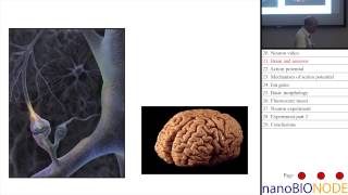 Mechanobiology in Neuronal Development Taher Saif [upl. by Valeda]