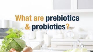 What Are Prebiotics and Probiotics  Herbalife Nutrition [upl. by Pachston416]