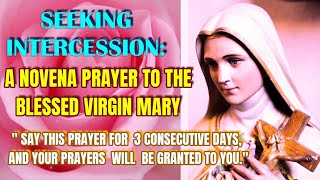 Seeking Divine Grace and Guidance A Novena Prayer to the Virgin Mary [upl. by Anoyk]