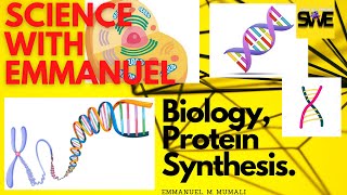 PROTEIN SYNTHESIS TRANSCRIPTION amp TRANSLATION GCSE AND IGCSE BIOLOGY  AQA EDEXCEL CIE OCR WJEC [upl. by Negem]