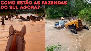 VEJA COMO ESTÃO AS FAZENDAS DO RIO GRANDE DO SUL NO ALAGAMENTO [upl. by Schilit436]