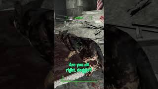 Finding Teddy bears for Dogmeat Fallout4 Shorts [upl. by Herschel]