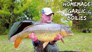 Carp Fishing With Homemade Garlic Boilies  My First Mirror Carp [upl. by Noid]