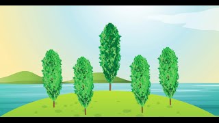 Poplar for Recycled Water Reuse and Phytoremediation [upl. by Norreg396]