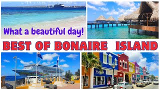 Best of Bonaire in one day  Te Amo Beach  Snorkeling  Kralendijk city tour Caribbean cruise [upl. by Madora]