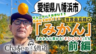 8「世界最高峰のみかん」愛媛県・八幡浜 とみかんに関わる「そういうひと」たち前編The Story of the Worlds Best Mandarin Orange [upl. by Ro]