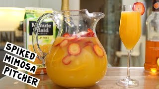 Spiked Mimosa Pitcher [upl. by Amlus]