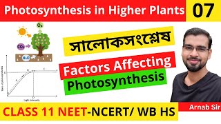 Photosynthesis in Higher Plants 07  Factors Affecting Photosynthesis  in Bengali  Class 11NEET [upl. by Temp]