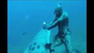 Giant Goliath Grouper Attacks Diver who is Spearfishing [upl. by Heyde]