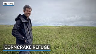 Corncrake refuge [upl. by Edak239]