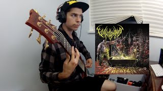 Vulvodynia  King Emesis Bass Cover [upl. by Flam881]