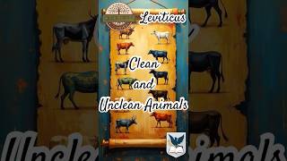 Clean and Unclean Animalsbooktok biblebiographies bibleinfo biblicalcharacters bibleadventures [upl. by Bultman]