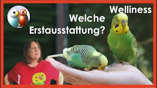 Was brauchst du alles für Wellensittiche Erstausstattung Tipps Infos und Links 71190 [upl. by Aetnahc]