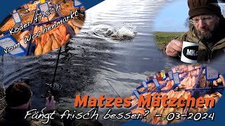 Matze Koch Köderfisch vom Wochenmarkt  Matzes Mätzchen 032024 [upl. by Grimes]