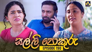 SALLI POKURU  EPISODE 190  සල්ලි පොකුරු  28th March 2024 [upl. by Cassey]