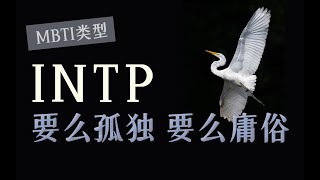 【MBTI】INTP为什么如此孤独？不了解Ti的人永远不会懂 [upl. by Innoc]