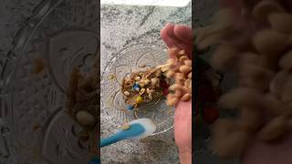 Edible Cookie Dough…🍪 easyrecipe [upl. by Htidirrem]