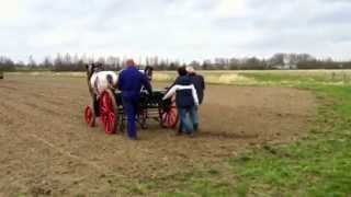 Open dag Werkend Trekpaard Zeeland bij s Gravenpolder， [upl. by Ienttirb]