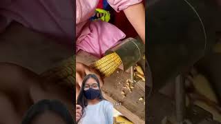 Corn seed remover gadgets amazingfacts [upl. by Adlen]