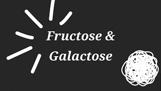 Fructose And Galactose Explained  Biochemstry  تحليلات مرحلة ثانية كيمياء حياتية  Lecture 3 [upl. by Lohcin]