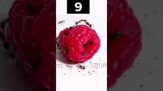 Ants Vs Strawberry Fight shorts timer timertopia [upl. by Atsilac]