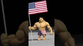 DOGE ON THE MOON shorts doge animation buffdoge dogecoin [upl. by Terrag]