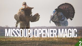 First Day Fans Missouri Eastern Gobbler Success [upl. by Bish826]