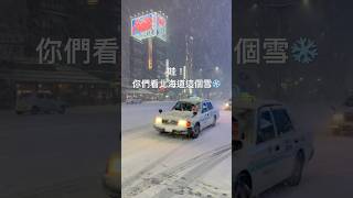 哇！你們看北海道這個雪❄️ [upl. by Hilary653]