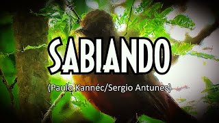 SABIANDO Paulo KannécSergio Antunes [upl. by Arabela830]