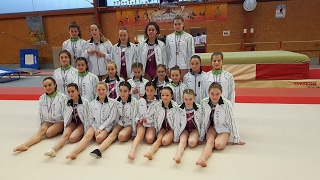 Championnats des Vosges par équipe  gymnastique [upl. by Obed]