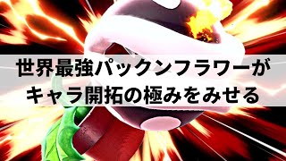 【スマブラSP】キャラ開拓の極みに達した世界最強パックンフラワーが限界を超えた超絶プレーを魅せる【ブルード パックンフラワー ハイライト】※再UP [upl. by Emmalynn]