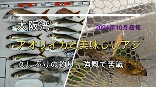 秋のアオリイカと美味しくなった鬼アジを釣ろう。 YAKUMO’s Boat fishing Vlog [upl. by Cordalia]