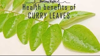 Amazing Health benefits of Curry leaves  Ventuno Dieting Right [upl. by Tarttan321]