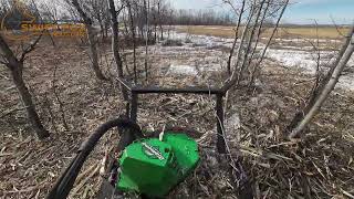 Two Speed Diamond Disc Mulcher Shreds Trees and Willlows with Power [upl. by Sheffield]