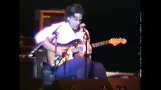 Ry Cooder amp David Lindley Mercury Blues [upl. by Octavius]