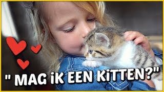 LOGEREN BiJ DE BOER 🐱 met jonge kittens  Bellinga Familie Vloggers 1386 [upl. by Lladnar]