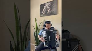 Nickelback amp Santana  Into the Night accordion solo [upl. by Simonetta356]